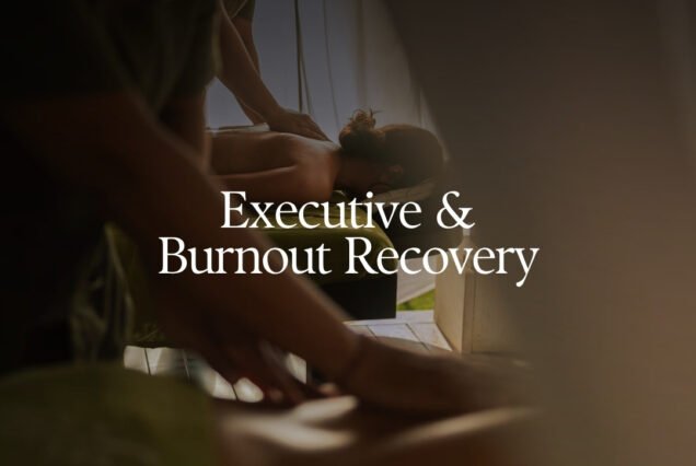 The Bali Executive Reset