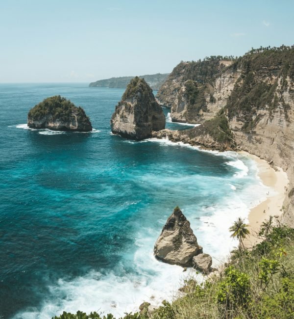 polina-kuzovkova-vjRggs523oE-unsplash